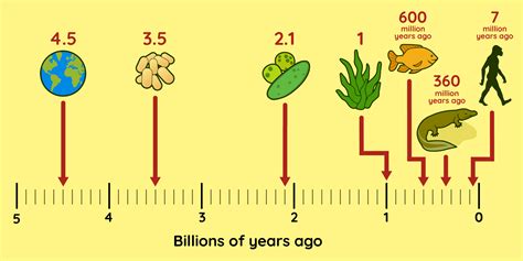 Early Life and Years on Earth