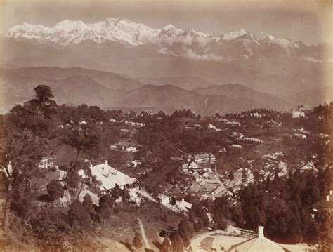 Early Life of Amazon Darjeeling