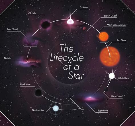 Early Life of the Young Star