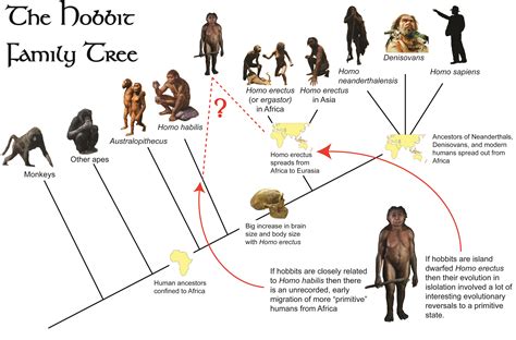 Early Origins and Ancestral Lineage