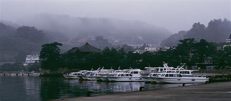 Early Years and Studies of Marina Matsushima