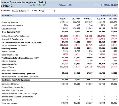 Earnings and Financial Status of the Model