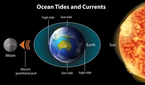 Earth's Connection to the Moon: How It Shaped Our Relationship