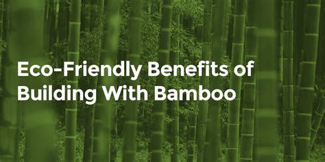 Eco-Friendly Advantages of Sustainable Bamboo Furnishings