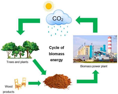 Eco-Friendly Fuel: Tapping into the Energy Potential of Biomass-Based Biofuels