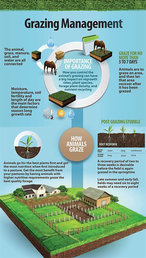 Eco-Friendly Land Management with Sustainable Animal Grazing