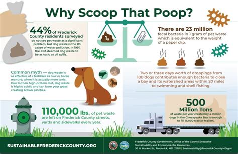 Educating Your Community on Canine Waste Management