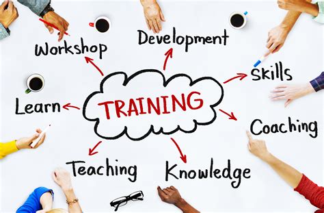 Education and Professional Training