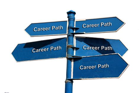 Educational Background and Career Journey