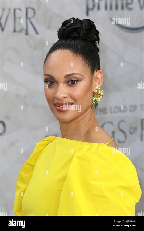 Educational Background of Cynthia Addai Robinson