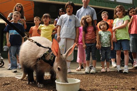 Educational and Entertaining: Discover the Zoo's Programs and Events