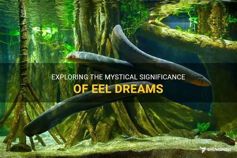 Eel Experience: Unraveling its Significance within Aquatic Dreams