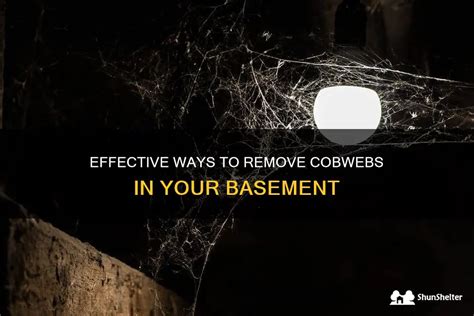 Effective Methods and Resources for Eliminating Cobwebs: A Comprehensive Manual