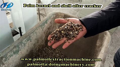 Effective Techniques for Cracking Palm Kernels