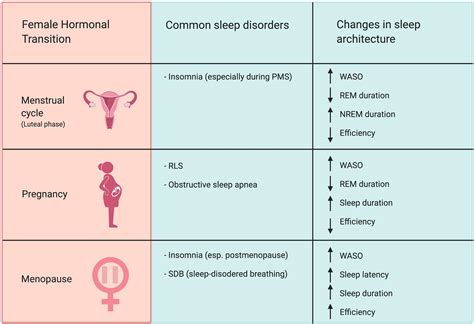 Effects of Disrupted Sleep Patterns on Menstrual Cycle