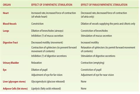 Effects of Frigid Drafts: Impact on the Body and Mind