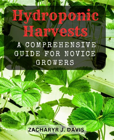 Embarking on a Journey: A Novice's Handbook to Cultivating Plants