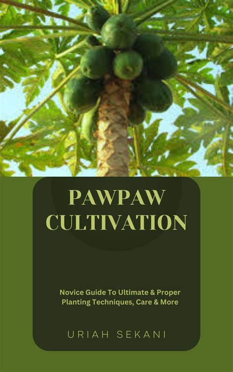 Embarking on a Journey: A Novice's Path to Achieving Success in Pawpaw Cultivation