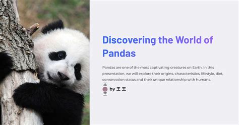 Embarking on a Journey: Discovering the Fascinating World of Pandas