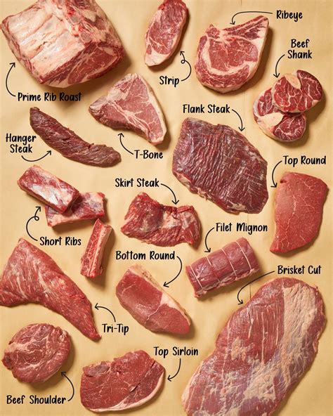 Embarking on a Journey of Exploring Exceptional Beef Cuts