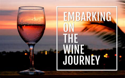 Embarking on a Journey to Understand the Art of Wine Appreciation