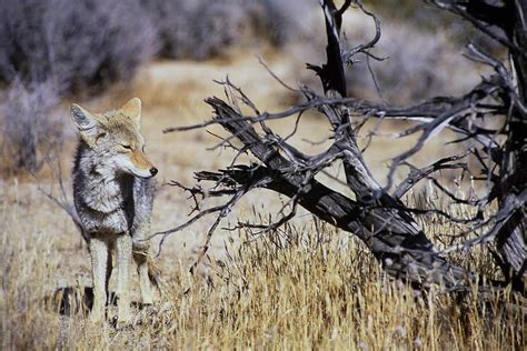 Embarking on an Adventure in California's National Parks