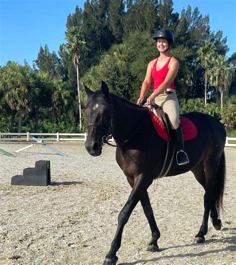 Embarking on the Equestrian Journey: Discovering the Thrill and Trials of Horse Riding