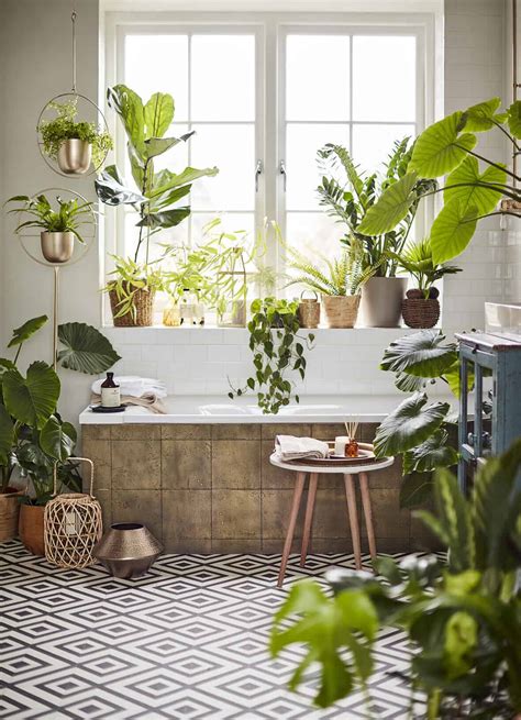 Embrace Natural Elements: Bringing the Outdoors In