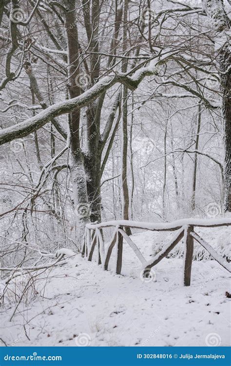 Embrace the Enchantment of Winter on a Frosty Path