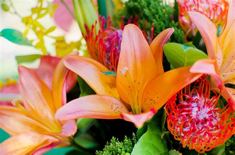 Embrace the Tropical Vibe: Selecting the Perfect Flora