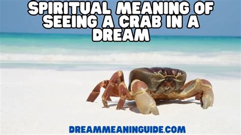 Embracing Change: The Crab as a Symbol of Transformation