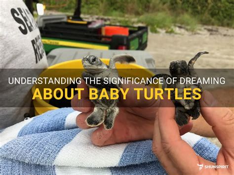 Embracing Fresh Starts and Transformation: The Profound Significance of Dreaming about Hatchling Turtles