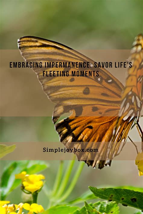 Embracing Impermanence: A Key to Enduring Life's Turbulence