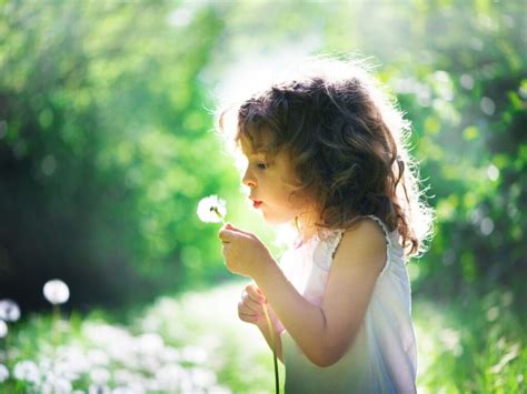 Embracing Nostalgia: Rediscovering the Joy of the Playground