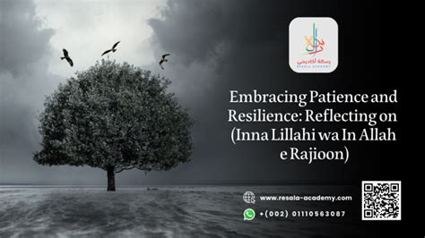 Embracing Patience and Resilience on the Journey