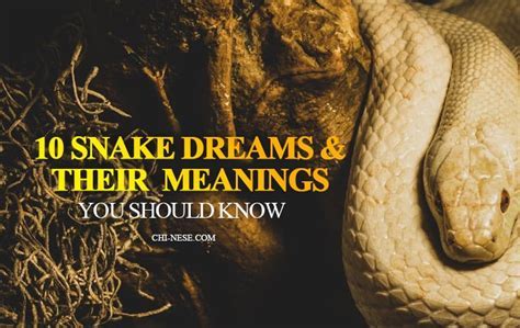 Embracing Transformation: Uncovering the Positive Messages in Serpent Dreams