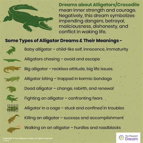 Embracing and Learning from Alligator Dreams