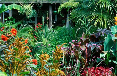 Embracing the Allure of Exotic Gardens