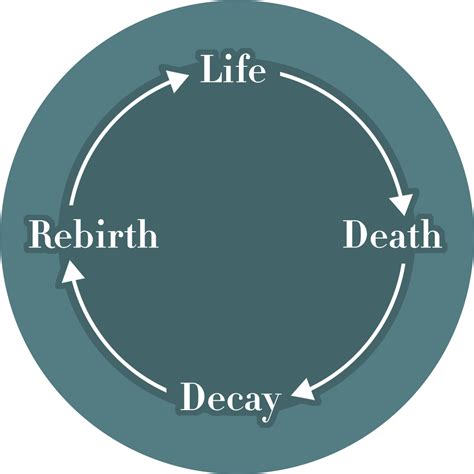 Embracing the Cycle of Life: Birth, Death, and Personal Transformation