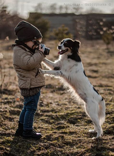 Embracing the Joy and Innocence of a Lively Canine Companion