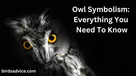 Embracing the Power and Guidance of Owl Symbolism in Life