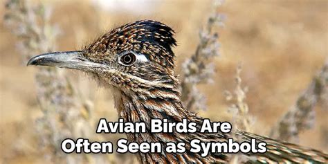 Embracing the Spiritual and Cultural Interpretations of Avian Birth Dreams