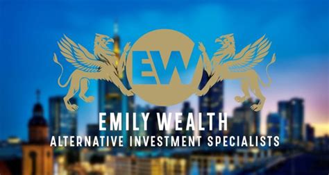 Emily Lace's Wealth Overview