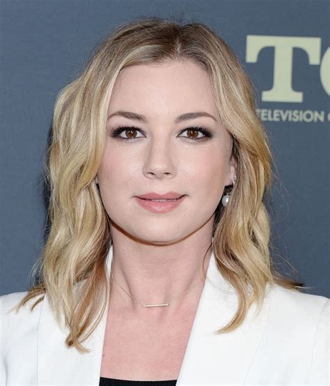 Emily VanCamp's Financial Status and Accomplishments