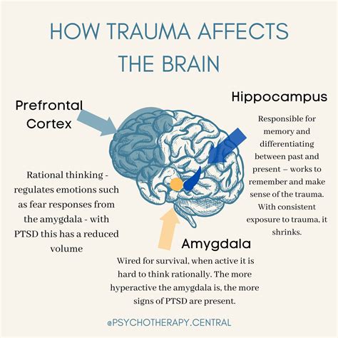 Emotional Processing in Dreams: Understanding How the Mind Copes with Trauma