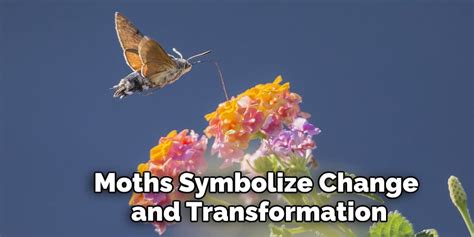 Empowering Transformation: The Symbolic Representation of Change by the Majestic Sparrow