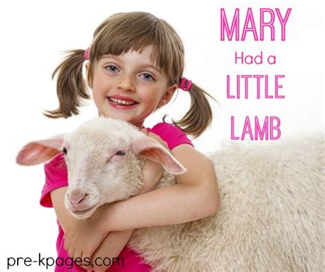 Engaging and Educational Activities for Little Lambs