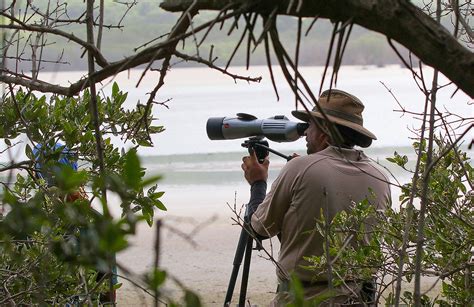 Engaging with Wildlife: Observing the Abundance of Life in the Serenity of the Stream