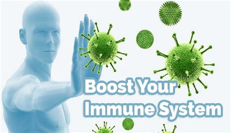 Enhance Functioning of the Immune System