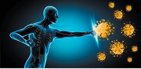 Enhancing Immune Function and Shielding Against Illnesses